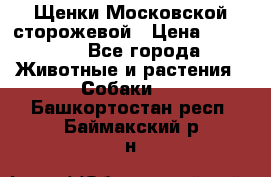 Щенки Московской сторожевой › Цена ­ 35 000 - Все города Животные и растения » Собаки   . Башкортостан респ.,Баймакский р-н